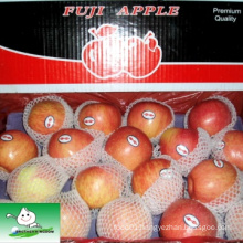 RED FUJI,bulk vegetable plants,succulent fresh fruit apple